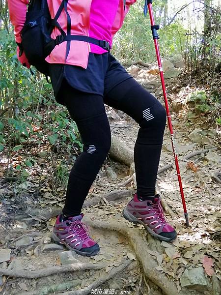 IMG_20210516_094619.jpg IMG_20210516_094619.jpg