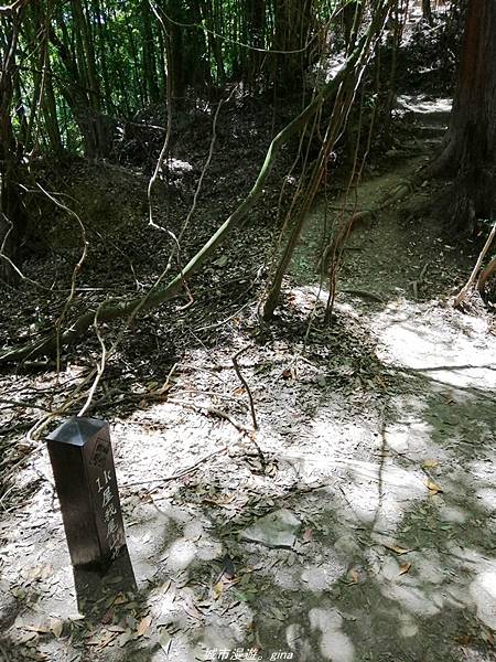 IMG_20210516_102512.jpg IMG_20210516_102512.jpg