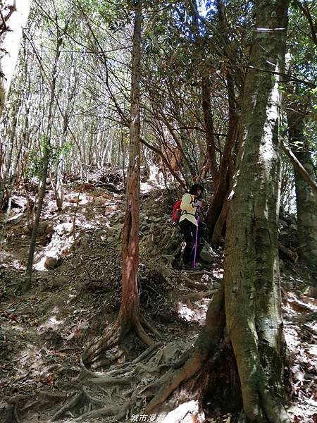 IMG_20210516_102345.jpg IMG_20210516_102345.jpg