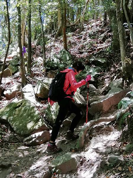 IMG_20210516_111038.jpg IMG_20210516_111038.jpg