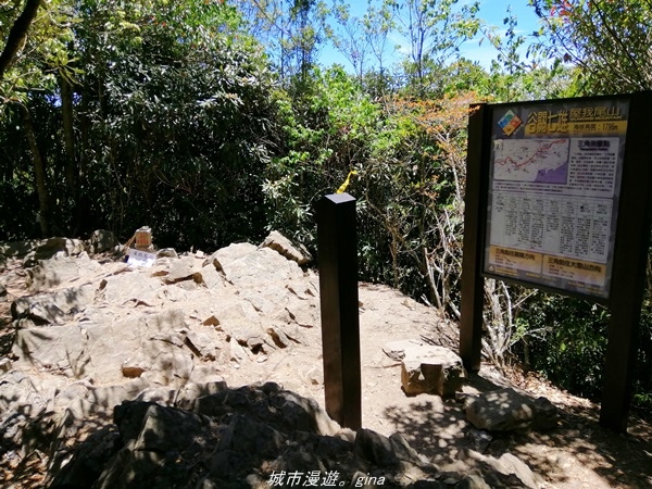 IMG_20210516_121341.jpg IMG_20210516_121341.jpg