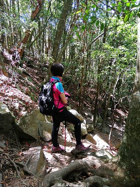 IMG_20210516_135333.jpg IMG_20210516_135333.jpg