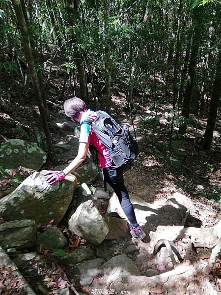 IMG_20210516_135351.jpg IMG_20210516_135351.jpg