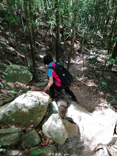 IMG_20210516_135359.jpg IMG_20210516_135359.jpg