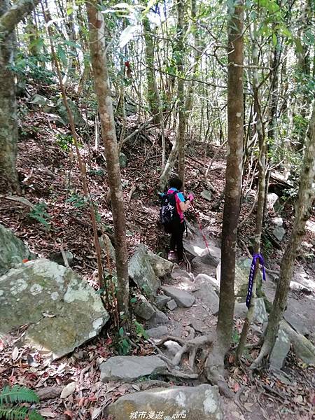 IMG_20210516_135418_1.jpg IMG_20210516_135418_1.jpg