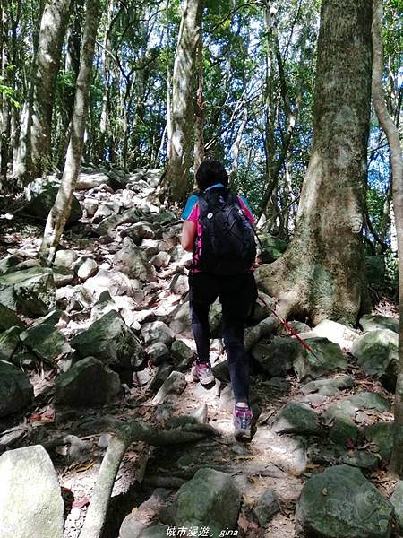 IMG_20210516_141832.jpg IMG_20210516_141832.jpg