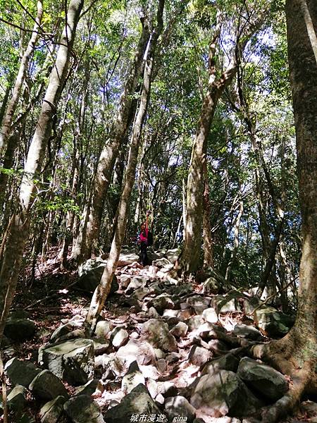 IMG_20210516_141902.jpg IMG_20210516_141902.jpg