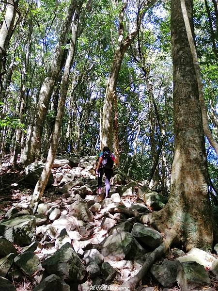 IMG_20210516_141840.jpg IMG_20210516_141840.jpg