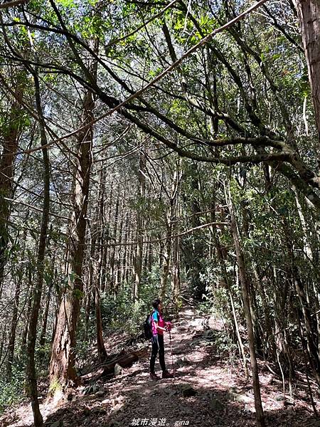 IMG_20210516_141904.jpg IMG_20210516_141904.jpg