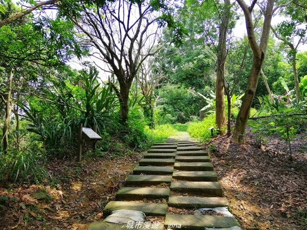 【台中太平】小百岳集起來。No43小百岳~三汀山