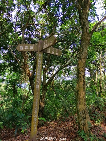 【台中太平】小百岳集起來。No43小百岳~三汀山