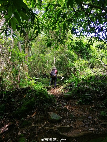 【台中太平】小百岳集起來。 No44小百岳-暗影山