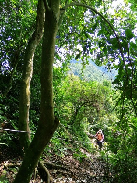 【台中太平】小百岳集起來。 No44小百岳-暗影山