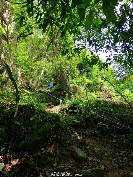 【台中太平】小百岳集起來。 No44小百岳-暗影山