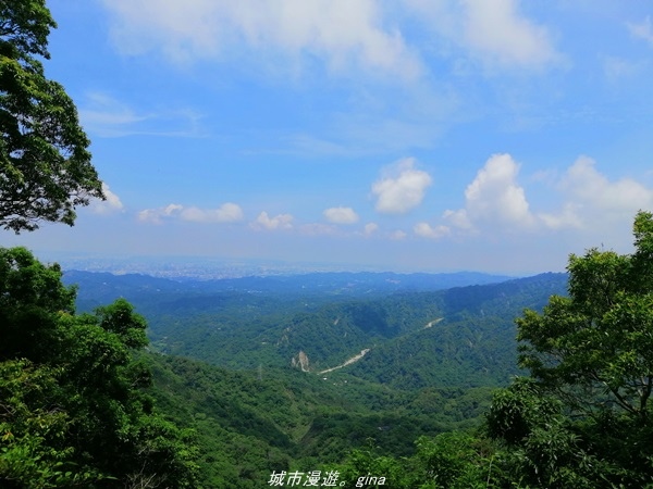 【台中太平】小百岳集起來。 No44小百岳-暗影山