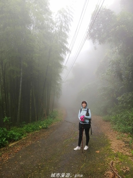 【南投水里】小百岳集起來。No50小百岳-集集大山