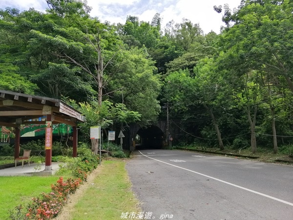 【南投水里】小百岳集起來。No50小百岳-集集大山