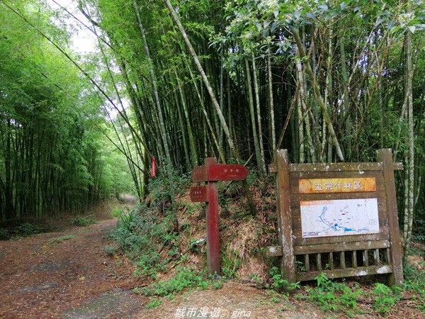 【南投水里】小百岳集起來。No50小百岳-集集大山