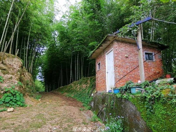 【南投水里】小百岳集起來。No50小百岳-集集大山