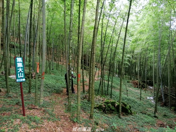 【南投水里】小百岳集起來。No50小百岳-集集大山