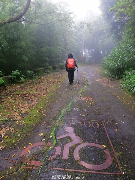 【南投水里】小百岳集起來。No50小百岳-集集大山