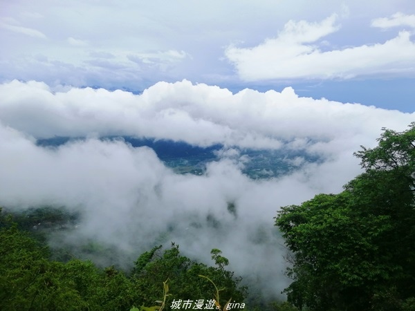 【南投水里】小百岳集起來。No50小百岳-集集大山