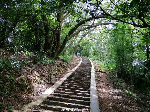 【新竹芎林】綠蔭成徑。 No27小百岳-中坑山 x飛鳳山