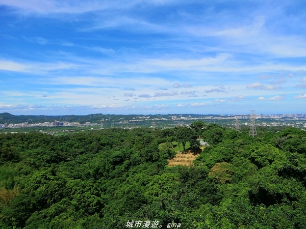 IMG_20210814_093343.jpg IMG_20210814_093343.jpg