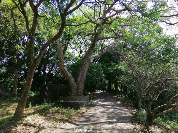 IMG_20210814_093821.jpg IMG_20210814_093821.jpg