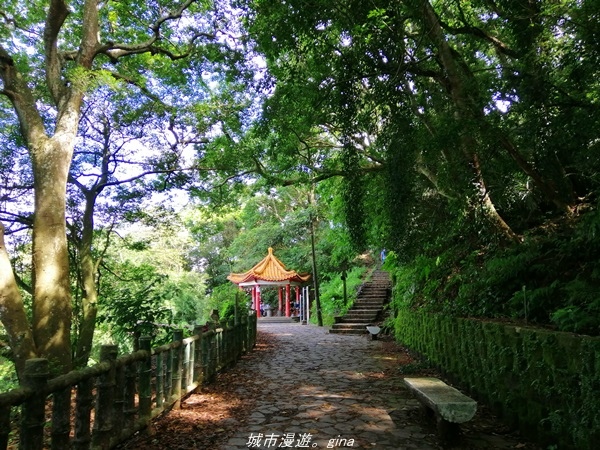 IMG_20210814_094853.jpg IMG_20210814_094853.jpg