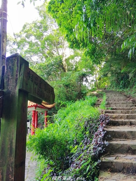 IMG_20210814_095741.jpg IMG_20210814_095741.jpg