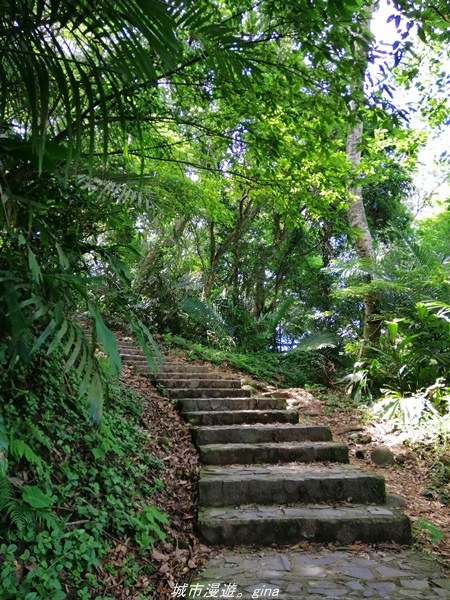 IMG_20210814_095920.jpg IMG_20210814_095920.jpg