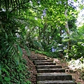 IMG_20210814_095920.jpg
