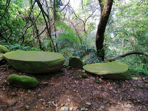 IMG_20210814_100633.jpg IMG_20210814_100633.jpg