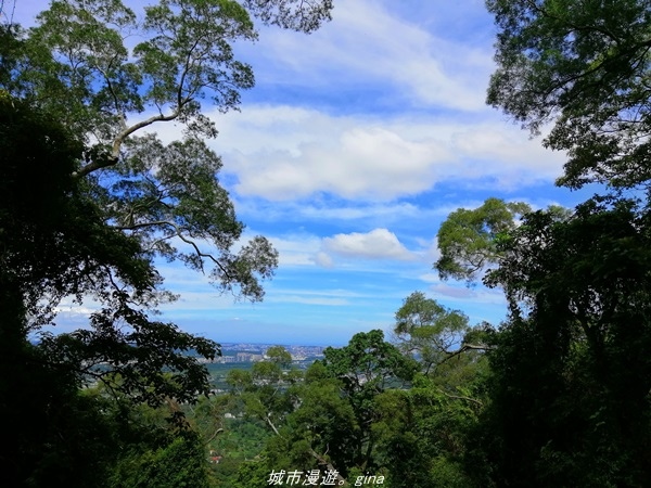 IMG_20210814_101924.jpg IMG_20210814_101924.jpg