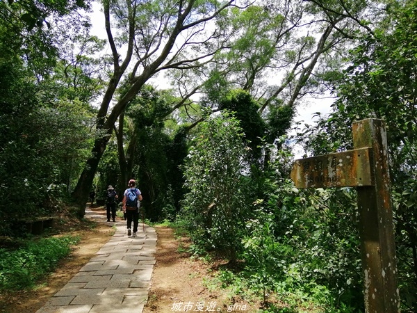 IMG_20210814_105348.jpg IMG_20210814_105348.jpg