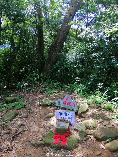 IMG_20210814_104910.jpg IMG_20210814_104910.jpg