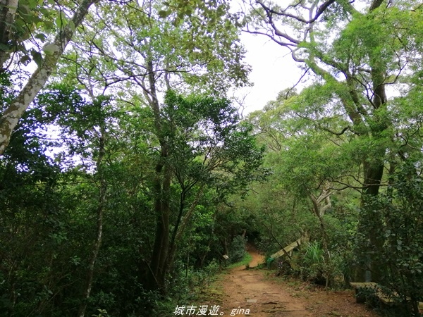 IMG_20210814_110221.jpg IMG_20210814_110221.jpg