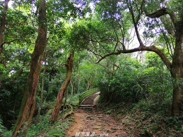 【新竹芎林】綠蔭成徑。 No27小百岳-中坑山 x飛鳳山