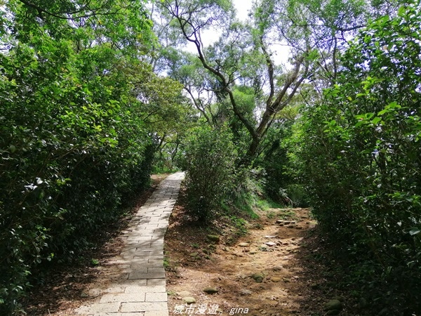 IMG_20210814_105651.jpg IMG_20210814_105651.jpg