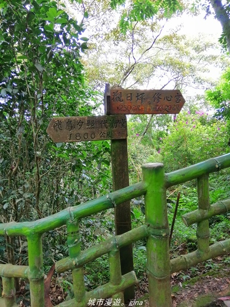 IMG_20210814_110654.jpg IMG_20210814_110654.jpg