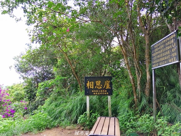 IMG_20210814_111415.jpg IMG_20210814_111415.jpg