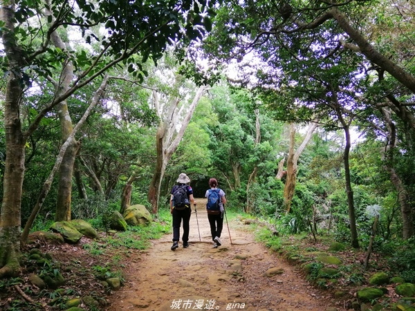 IMG_20210814_111522.jpg IMG_20210814_111522.jpg