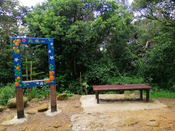 IMG_20210814_111805.jpg IMG_20210814_111805.jpg