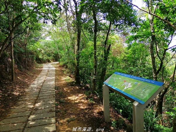 IMG_20210814_112618.jpg IMG_20210814_112618.jpg