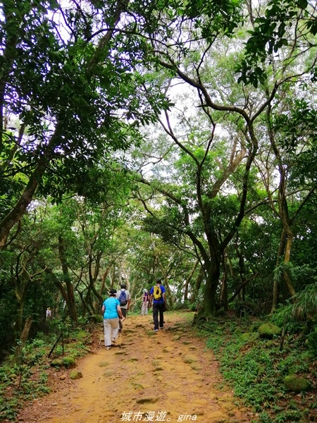 IMG_20210814_111922.jpg IMG_20210814_111922.jpg