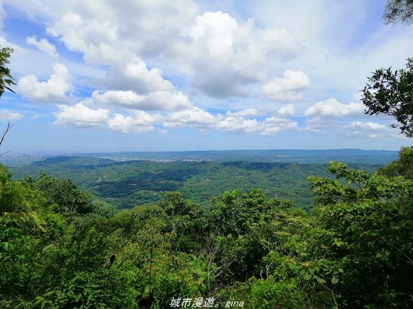 IMG_20210814_113008.jpg IMG_20210814_113008.jpg