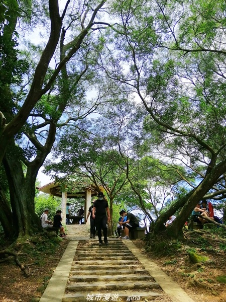 IMG_20210814_121005.jpg IMG_20210814_121005.jpg