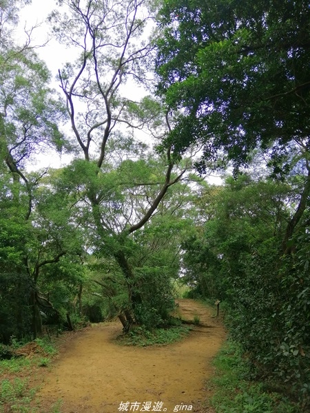 IMG_20210814_121945.jpg IMG_20210814_121945.jpg