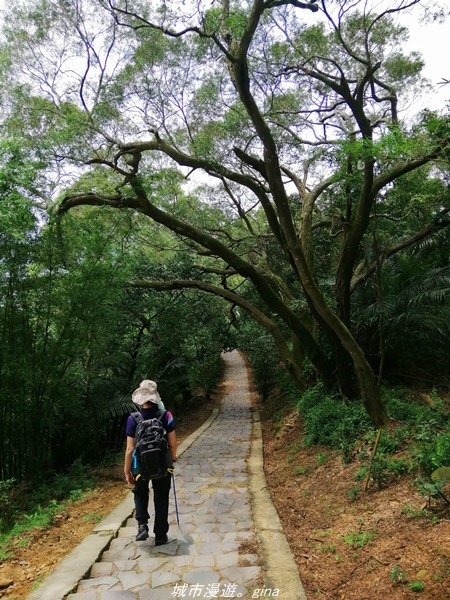 IMG_20210814_122822.jpg IMG_20210814_122822.jpg